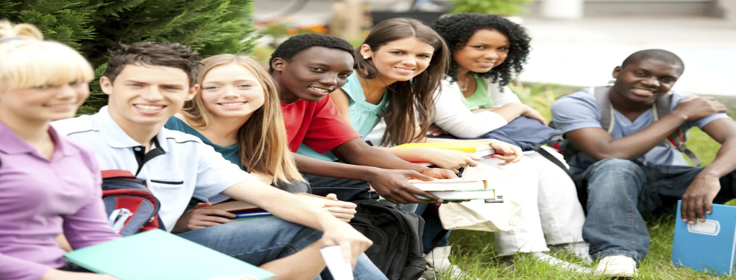 Image for Community Cohesion